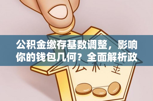 松阳公积金缴存基数调整，影响你的钱包几何？全面解析政策与实际收益