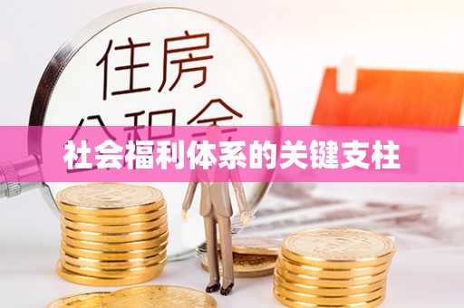 松阳社会福利体系的关键支柱