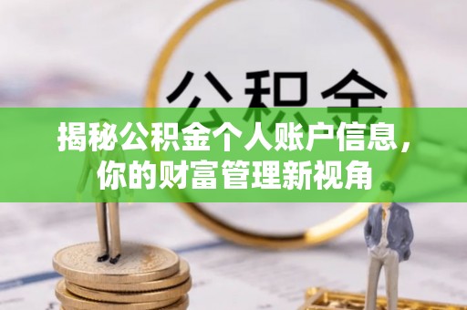 松阳揭秘公积金个人账户信息，你的财富管理新视角