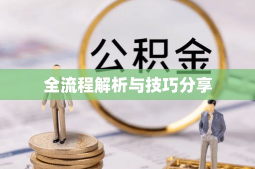 松阳全流程解析与技巧分享